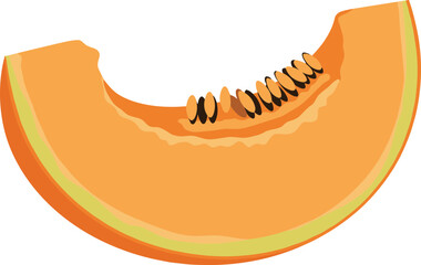 Fototapeta premium Orange Cantaloupe Melon Slice with Seeds Vector Illustration