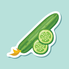 Cucumber vegetable sticker icon in flat style. Gherkin plant vector illustration on isolated background. Healthy food sign business concept.