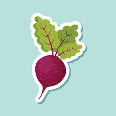Beetroot vegetable with leaves sticker icon in flat style. Beet plant vector illustration on isolated background. Healthy food sign business concept.