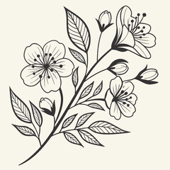 black and white flowers