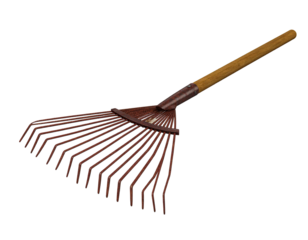 Rusty garden rake isolated on white