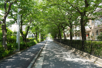 街中にある新緑のアーチトンネル