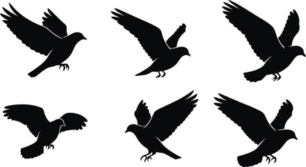 Obraz premium Silhouette of Flying Doves, Symbolizing Peace, Freedom