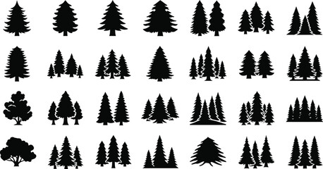 Obraz premium Collection of a Variety of Evergreen Tree Silhouettes, Perfect for Nature-Themed Designs and Holiday Projects, Featuring Different Shapes and Sizes of Coniferous Trees