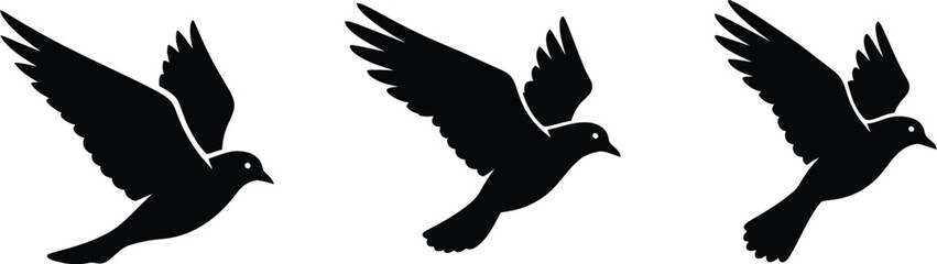 Silhouette of Three Graceful Flying Doves, Symbolic of Peace, Hope