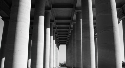 Monochromatic perspective of numerous concrete columns forming a long, shadowed colonnade.