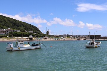 Fototapeta premium Along the coast of western Miura Peninsula in the 