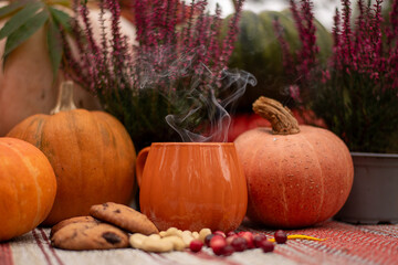 Seasonal Autumn Composition with Pumpkins, Cookies and Citrus