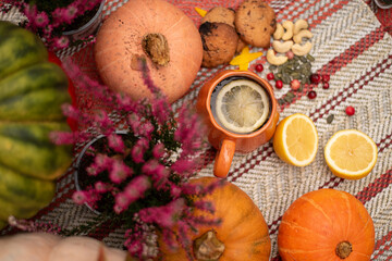 Seasonal Autumn Composition with Pumpkins, Cookies and Citrus