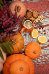 Seasonal Autumn Composition with Pumpkins, Cookies and Citrus