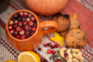 Seasonal Autumn Composition with Pumpkins, Cookies and Citrus