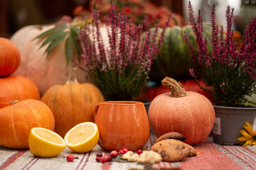 Seasonal Autumn Composition with Pumpkins, Cookies and Citrus