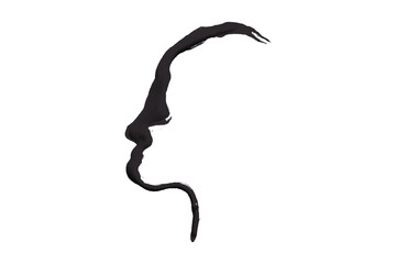 Beautiful black watercolor brush isolated on transparent background.