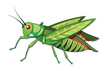 Cartoon Grasshopper Illustration Detailed Green Insect with Antennae and Distinctive Wing Patterns a Charming Bug Image