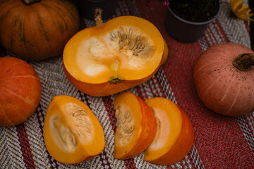 Fresh Sliced Pumpkin on Rustic Autumn Background