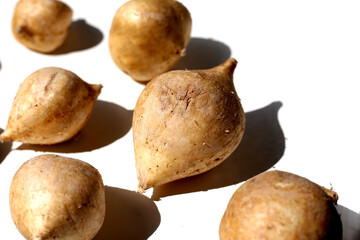 Mexican turnip or jicama or yam bean