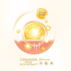 Ceramide from rice extract serum skin care cosmetic