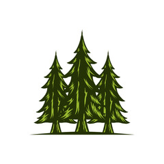 Vintage Pine Tree Forest Illustration – Evergreen Conifer Tree Graphic for Nature and Outdoor Themes