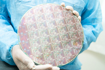 Silicon wafer for manufacturing semiconductor of integrated circuit.