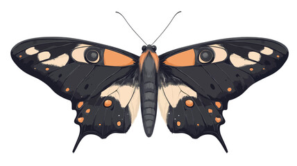 A detailed digital illustration of a Pipevine Swallowtail butterfly (Battus philenor) against a white background. The illustration showcases the butterfly's wings, which are predominantly