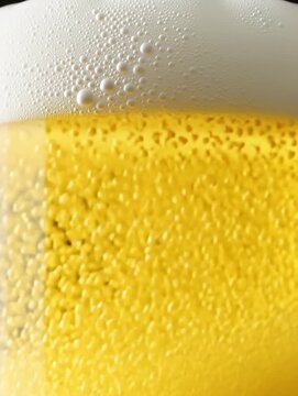 Golden lager beer filling a glass, forming a thick, foamy head as countless bubbles rise rapidly and effervescently through the liquid. 