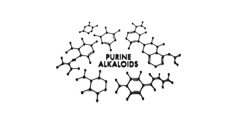 Illustration of purine alkaloids molecular structures with text on a white background drawing