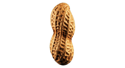 Detailed macro view of a single peanut shell highlighting its textured surface and natural patterns, perfect for food and ingredient concepts.