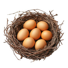 A bird s nest filled with seven brown eggs isolated on transparent background