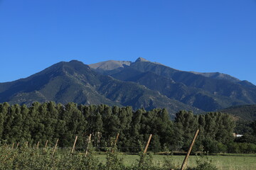Massif du Canigou, a mountain in Pyrenees mountain range in southern France viewed here from nearby orchard in summertime