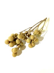 Longan is sweet and delicious