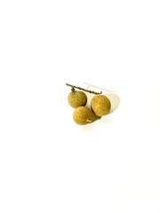 Longan is sweet and delicious
