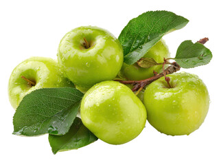 Obraz premium Harvesting green apples in orchard fresh produce natural setting. Isolated on transparent background, png.