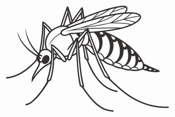 Detailed Line Art Depiction of a Mosquito Showing Wings Proboscis and Segmented Body in a Vector Style Illustration