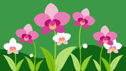 Naklejka premium Orchid Field Featuring Exotic Flowers Symbolizing Beauty and Elegance