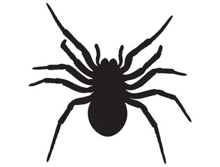 SPIDER SILHOUETTE