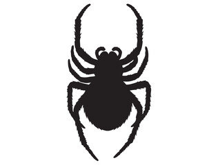 SPIDER SILHOUETTE