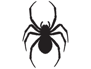 SPIDER SILHOUETTE