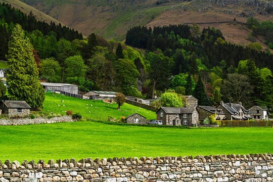 Grasmere Lake, Grasmere, Ambleside, Lake District, Westmorland, Cumbria, England