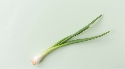 Fototapeta premium Fresh Green Onion on Pale Green Background with Natural Lighting