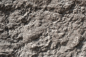 Textured wall surface showcasing intricate patterns and subtle color variations in natural lighting