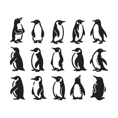 Obraz premium set of penguin silhouette vector illustration