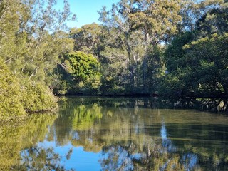 Australian trees and bushes reflected in a lake. Taken at Lake Macquarie Myuna Bay Australia
