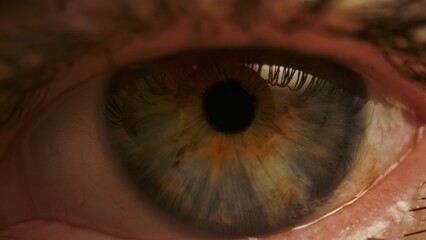 Macro shot of human brown blue eye with visible iris texture