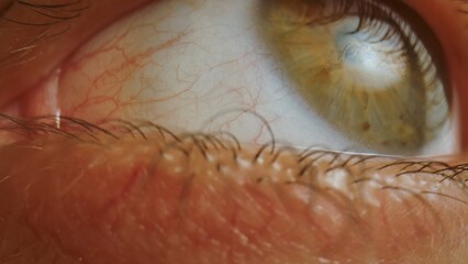 Macro shot of human eye with visible blood vessels and eyelashes