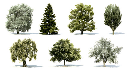 Fototapeta premium Diverse Tree Collection: Isolated Renderings on White Background, Botanical Variety.