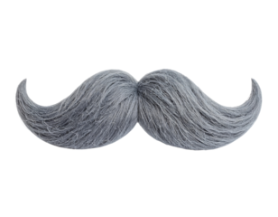 A detailed gray mustache with a thick, wavy texture and curled tips, resembling a classic, vintage style facial hair.