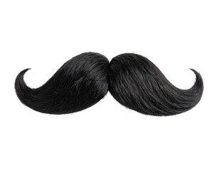 A realistic black mustache with curled ends and detailed hair texture.