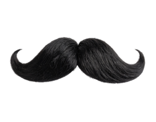 A realistic black mustache with curled ends and detailed hair texture.