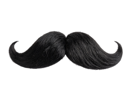 A realistic black mustache with curled ends and detailed hair texture.
