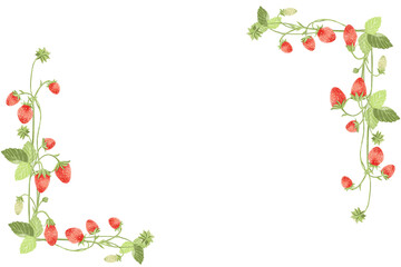 Watercolor frame design with elegance strawberries and strawberry leaves.